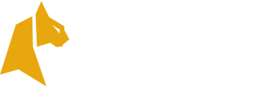 FELIXSPIN logo